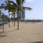 Unser erster Palmenstrand