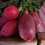 Radieschen, groß wie Kiwi