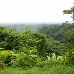 schmälert die Sicht