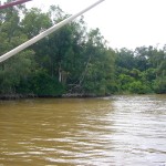 Maroni River