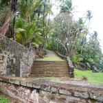 nebst Garten