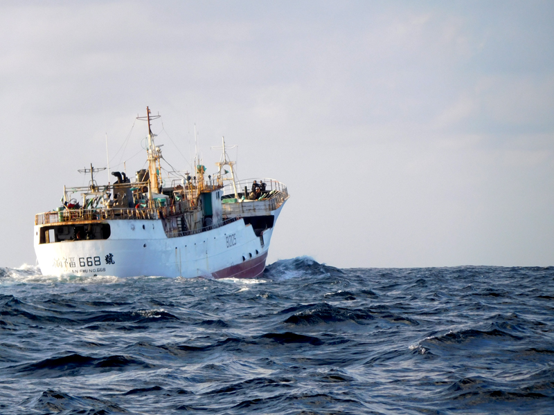 Der wollte uns rammen