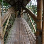 Bambus-Brücke
